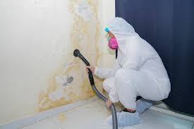 Best Mold Remediation for Healthcare Facilities  in Middlefield, OH